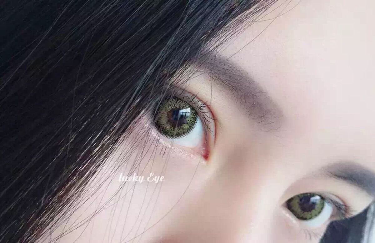 开云官网登录入口